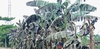 Karhutla di Desa Sei Sentang, Dua Titik Lahan Gambut Terpantau dari Aplikasi Hotspot