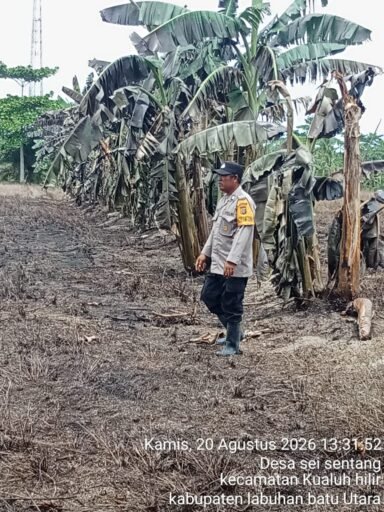Karhutla di Desa Sei Sentang, Dua Titik Lahan Gambut Terpantau dari Aplikasi Hotspot Karhutla di Desa Sei Sentang, Dua Titik Lahan Gambut Terpantau dari Aplikasi Hotspot