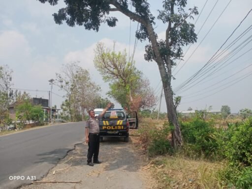 Dalam Upaya Antisipasi Pohon Tumbang Polsek Ngimbang Gelar Patroli, Pengecekan di Daerah Rawan Bencana Dalam Upaya Antisipasi Pohon Tumbang Polsek Ngimbang Gelar Patroli, Pengecekan di Daerah Rawan Bencana