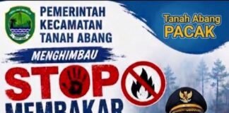 Camat Tanah Abang Melarang Total Bakar Lahan: Merusak Alam, Mengancam Kesehatan!