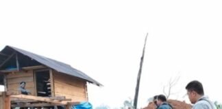 *KEMENHUT AMANKAN 40 HEKTAR ZONA INTI TNBBS, EMPAT TERSANGKA*
