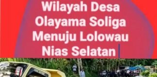 TRUK NYARIS TERJUN KE JURANG! JALAN LINTAS PROVINSI OLAYAMA SOLIGA – LOLOWAU NIAS SELATAN RUSAK PARAH,