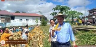 8 Bulan 2026 Berlalu, 12 Program Bupati Nias Barat Diduga Gagal Total
