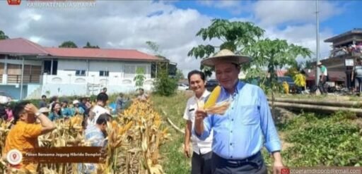 8 Bulan 2026 Berlalu, 12 Program Bupati Nias Barat Diduga Gagal Total 8 Bulan 2026 Berlalu, 12 Program Bupati Nias Barat Diduga Gagal Total