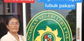 Rotua Wendeilyna Simarmata, Pulang ke Tanah Leluhur, Kiprah Mediasi, Jurnalistik, Paralegal Hukum Adat Batak