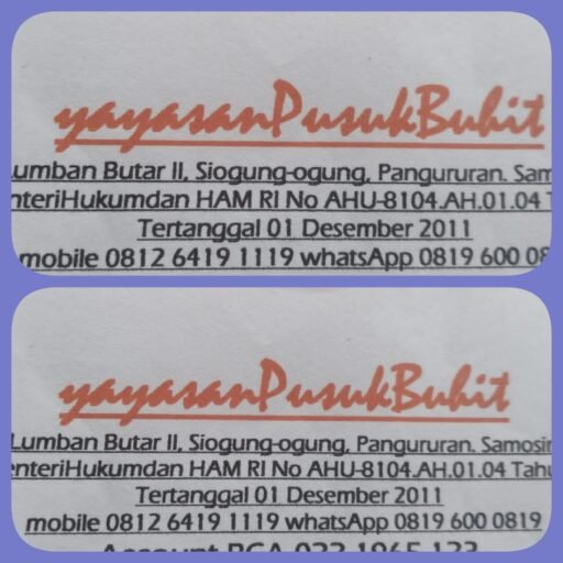 Efendy Naibaho, Yayasan Pusuk Buhit Siap Jadi Amicus Curiae di PN Balige, Legalitas Resmi Sejak 2011 Efendy Naibaho, Yayasan Pusuk Buhit Siap Jadi Amicus Curiae di PN Balige, Legalitas Resmi Sejak 2011