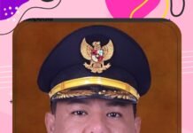 R Wendeilyna Simarmata Pertanyakan, Kepala Lingkungan Hilang dari Kelurahan di Samosir, Apa Dasar Hukumnya?