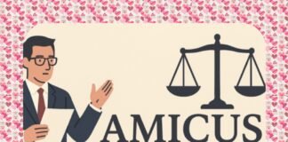 R Wendeilyna Simarmata, Yuk Simak, Amicus Curiae di Indonesia, Mekanismenya Masih Jadi Persoalan Hukum