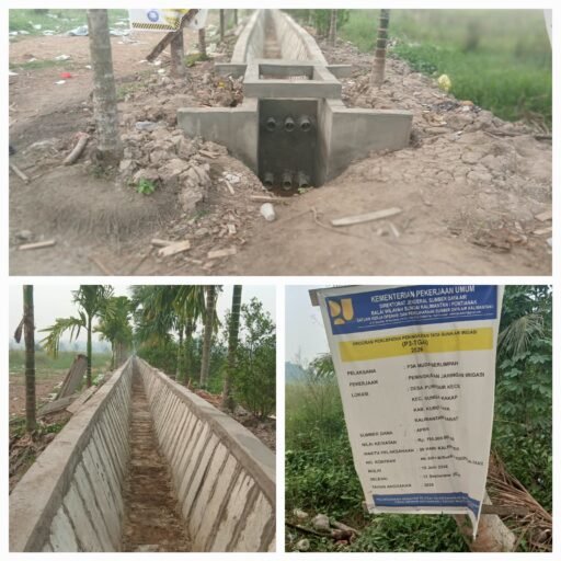 Proyek P-3AI Punggur Kecil Disorot, Saluran Irigasi Diduga Tak Terhubung ke Sungai Besar Proyek P-3AI Punggur Kecil Disorot, Saluran Irigasi Diduga Tak Terhubung ke Sungai Besar