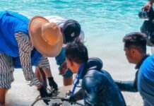 Putri Victoria di Gili Meno: Menjaga Laut, Merawat Harapan Ekonomi Biru