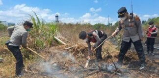Polsek Ampenan Gerak Cepat Tangani Karhutla di Jempong Baru