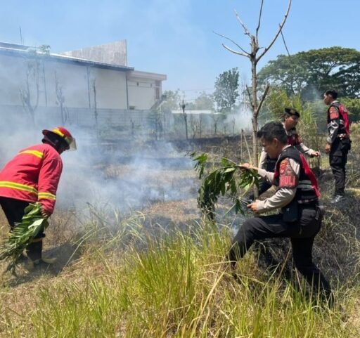 Polisi dan Warga Padamkan Kebakaran Lahan di Mandalika, Respons Cepat Laporan 110 Polisi dan Warga Padamkan Kebakaran Lahan di Mandalika, Respons Cepat Laporan 110