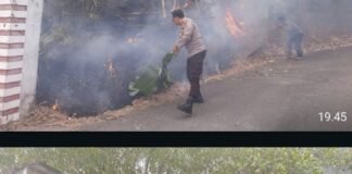 Respons Cepat Polsek Gunungsari, 5 Are Kebakaran Lahan Kekait Berhasil Dipadamkan