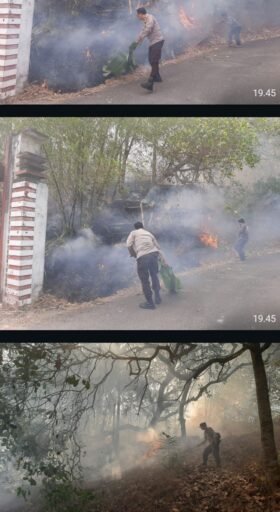 Respons Cepat Polsek Gunungsari, 5 Are Kebakaran Lahan Kekait Berhasil Dipadamkan Respons Cepat Polsek Gunungsari, 5 Are Kebakaran Lahan Kekait Berhasil Dipadamkan
