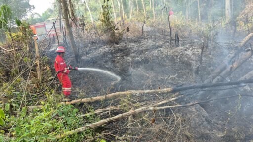 Lawan Karhutla Sumsel, PHR Zona 4 Siagakan Armada Penuh Amankan Pasokan Migas! Lawan Karhutla Sumsel, PHR Zona 4 Siagakan Armada Penuh Amankan Pasokan Migas!