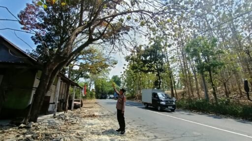 Dalam Upaya Antisipasi Pohon Tumbang Polsek Ngimbang Gelar Patroli, Pengecekan di Daerah Rawan Bencana Dalam Upaya Antisipasi Pohon Tumbang Polsek Ngimbang Gelar Patroli, Pengecekan di Daerah Rawan Bencana