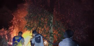 Enam Malam Tidur di Lokasi Karhutla, Kapolres Meranti AKBP Gede Adi Padamkan Api Hingga Dini Hari