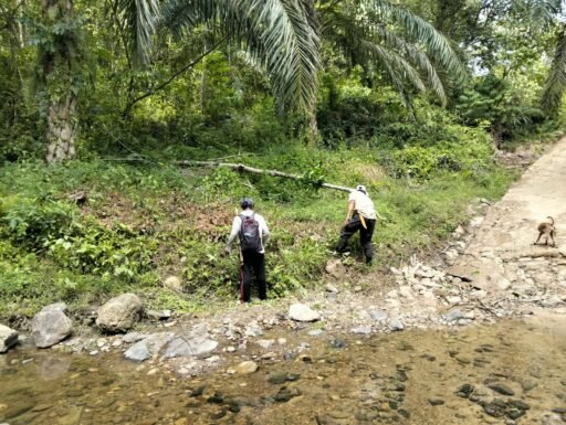 Jembatan Sampuran Paluta Dibangun, Akses Warga Diharapkan Makin Lancar Jembatan Sampuran Paluta Dibangun, Akses Warga Diharapkan Makin Lancar