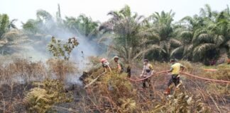 *POLRES MUKOMUKO BERSAMA TIM GABUNGAN SIGAP PADAMKAN KARHUTLA DI DESA UJUNG PADANG*