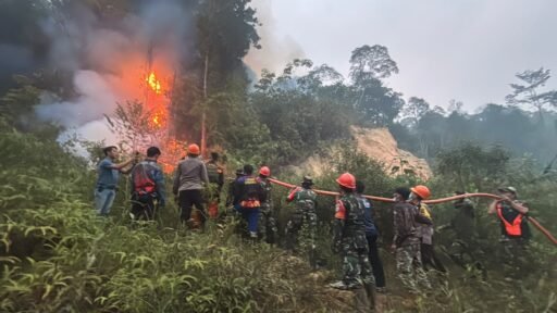 Sinergi Kodim Sanggau, Polri dan Pemda Kendalikan Karhutla di Bukit Mungguk Hujan Mas Tayan Hilir Sinergi Kodim Sanggau, Polri dan Pemda Kendalikan Karhutla di Bukit Mungguk Hujan Mas Tayan Hilir