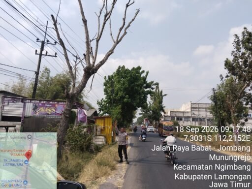 Demi Antisipasi Pohon Tumbang Polsek Ngimbang Sisir Dan Patroli di Daerah Rawan Bencana Demi Antisipasi Pohon Tumbang Polsek Ngimbang Sisir Dan Patroli di Daerah Rawan Bencana