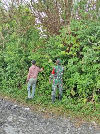 Karhutla di Simalungun dan Pematangsiantar Nihil, Patroli Terus Dilakukan Karhutla di Simalungun dan Pematangsiantar Nihil, Patroli Terus Dilakukan