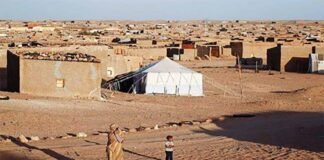 *Kedok Polisario Terbongkar: Bantuan Kemanusiaan Dirampok*