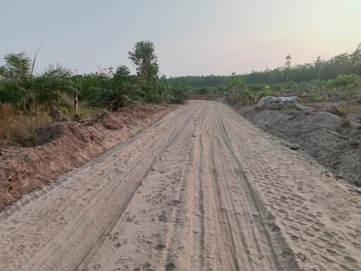 Proyek Jalan Simpang Kereto–Mangku Negara Rp1,45 Miliar Disorot, Ada Dugaan Pengurangan Mutu? Proyek Jalan Simpang Kereto–Mangku Negara Rp1,45 Miliar Disorot, Ada Dugaan Pengurangan Mutu?