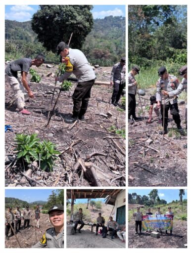 Polres Muara Enim Perkuat Ketahanan Pangan, 1,62 Hektare Lahan di Pandan Dulang Ditanami Jagung Polres Muara Enim Perkuat Ketahanan Pangan, 1,62 Hektare Lahan di Pandan Dulang Ditanami Jagung