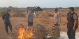 Polsek Sidayu Tertibkan Lokasi Diduga Jadi Tempat Judi Sabung Ayam di Kecamatan Sidayu – Gresi