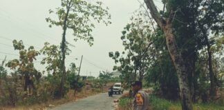 Dalam Upaya Antisipasi Pohon Tumbang Polsek Ngimbang Gelar Patroli, Pengecekan di Daerah Rawan Bencana