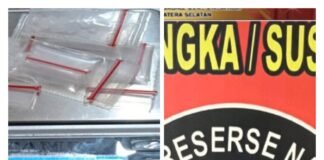 Warung Kopi di Pinggir Jalan Lintas Desa Aur Digerebek, Polisi Amankan Pria 30 Tahun dan Sita 6 Paket Sabu