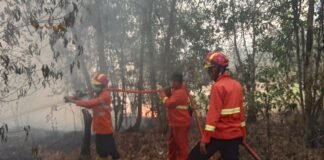 Lagi-Lagi Si Jago Merah Mengamuk, BPBD Muba Berhasil Padamkan Kebakaran Hutan di Sekayu