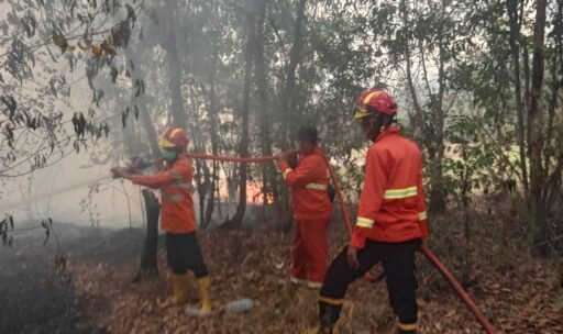 Lagi-Lagi Si Jago Merah Mengamuk, BPBD Muba Berhasil Padamkan Kebakaran Hutan di Sekayu Lagi-Lagi Si Jago Merah Mengamuk, BPBD Muba Berhasil Padamkan Kebakaran Hutan di Sekayu