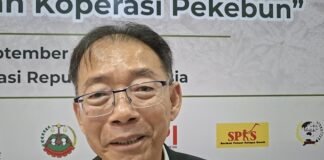 Petrus Tjandra: Petani Sawit Jangan Hanya Jual Buah, Harus Kuasai Hilirisasi