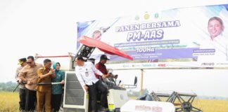 Panen PM-AAS Capai 12,88 Ton per Hektare, Andra Soni Dorong Modernisasi Pertanian Banten