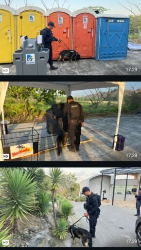Anjing Pelacak K-9 Sisir Tiga Zona MotoGP Mandalika, Polisi Pastikan Steril Anjing Pelacak K-9 Sisir Tiga Zona MotoGP Mandalika, Polisi Pastikan Steril