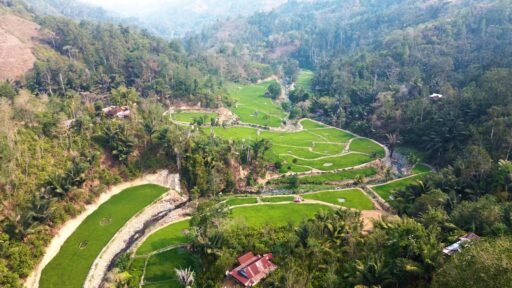 Kepala UPT KPH Saddang 1 Akui Kirim Laporan Pengrusakan HL ke Gakkum Sebelum Ada LK Kepala UPT KPH Saddang 1 Akui Kirim Laporan Pengrusakan HL ke Gakkum Sebelum Ada LK