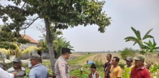 Polres Lamongan bersama Masyarakat Evakuasi Lansia Meninggal Dunia Di Pinggir Jalan Desa Lembung Kidul