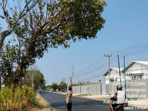Demi Antisipasi Pohon Tumbang Personil Polsek Ngimbang Sisir Dan Patroli di Daerah Rawan Bencana Demi Antisipasi Pohon Tumbang Personil Polsek Ngimbang Sisir Dan Patroli di Daerah Rawan Bencana