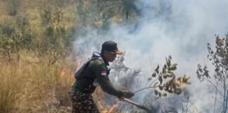 Banser GP Ansor Kabupaten Malang Turun Padami Karhutla di Bukit Lincing Gunung Arjuno