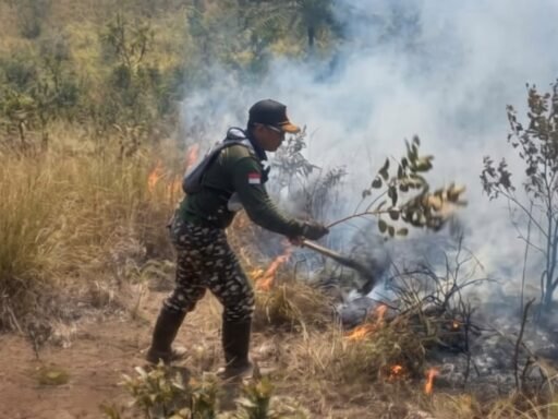 Banser GP Ansor Kabupaten Malang Turun Padami Karhutla di Bukit Lincing Gunung Arjuno Banser GP Ansor Kabupaten Malang Turun Padami Karhutla di Bukit Lincing Gunung Arjuno