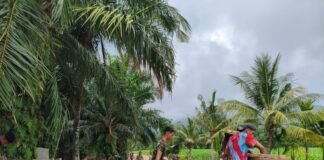 Kodim 0205/TK Bangun Jembatan di Bandar Purba, Progres Capai 43,1 Persen