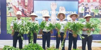 Karutan Kelas I Palembang Bersama Jajaran Panen Kangkung, Dukung Ketahanan Pangan dan Optimalisasi Lahan