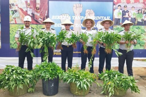 Karutan Kelas I Palembang Bersama Jajaran Panen Kangkung, Dukung Ketahanan Pangan dan Optimalisasi Lahan Karutan Kelas I Palembang Bersama Jajaran Panen Kangkung, Dukung Ketahanan Pangan dan Optimalisasi Lahan