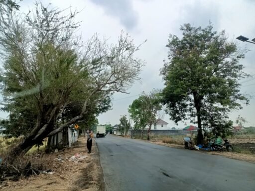 Demi Antisipasi Pohon Tumbang Polsek Ngimbang Sisir Dan Patroli di Daerah Rawan Bencana Di Wilayah Ngimbang Demi Antisipasi Pohon Tumbang Polsek Ngimbang Sisir Dan Patroli di Daerah Rawan Bencana Di Wilayah Ngimbang