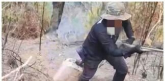 Karhutla Bawa Duka di Hening Malam Hutan Nanggala, 1 Polhut KPH Saddang II Meninggal Tertimpa Pohon