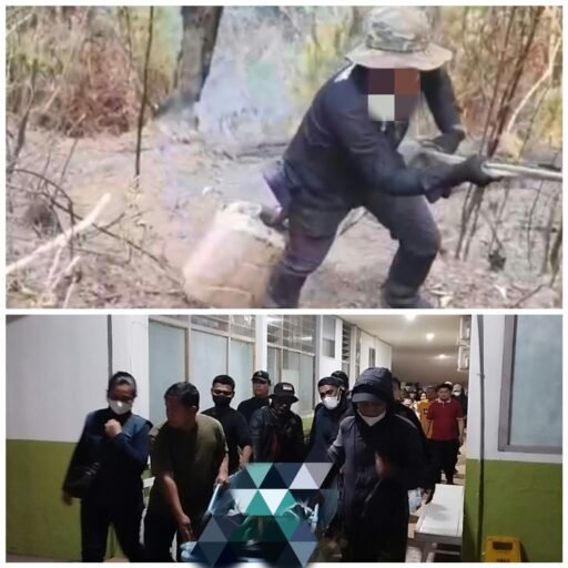 Karhutla Bawa Duka di Hening Malam Hutan Nanggala, 1 Polhut KPH Saddang II Meninggal Tertimpa Pohon Karhutla Bawa Duka di Hening Malam Hutan Nanggala, 1 Polhut KPH Saddang II Meninggal Tertimpa Pohon