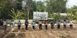 •PALI Bergerak! Aksi Tanam Cabai Massal Dimulai dari Kecamatan Tanah Abang•