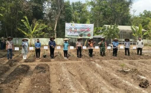•PALI Bergerak! Aksi Tanam Cabai Massal Dimulai dari Kecamatan Tanah Abang• •PALI Bergerak! Aksi Tanam Cabai Massal Dimulai dari Kecamatan Tanah Abang•